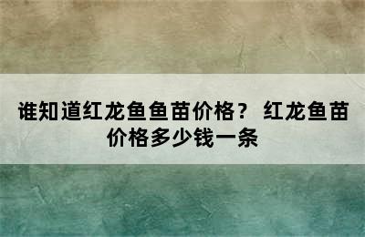 谁知道红龙鱼鱼苗价格？ 红龙鱼苗价格多少钱一条